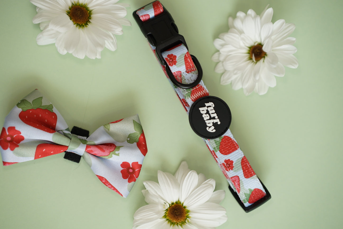 BERRY BABY COLLAR