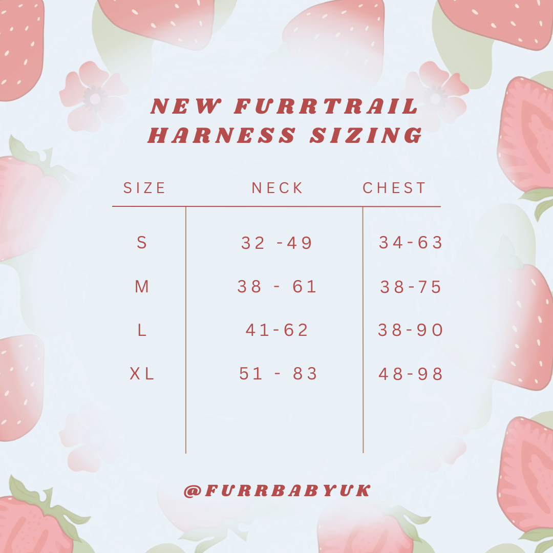FURRTRAILS BERRY BABY HARNESS