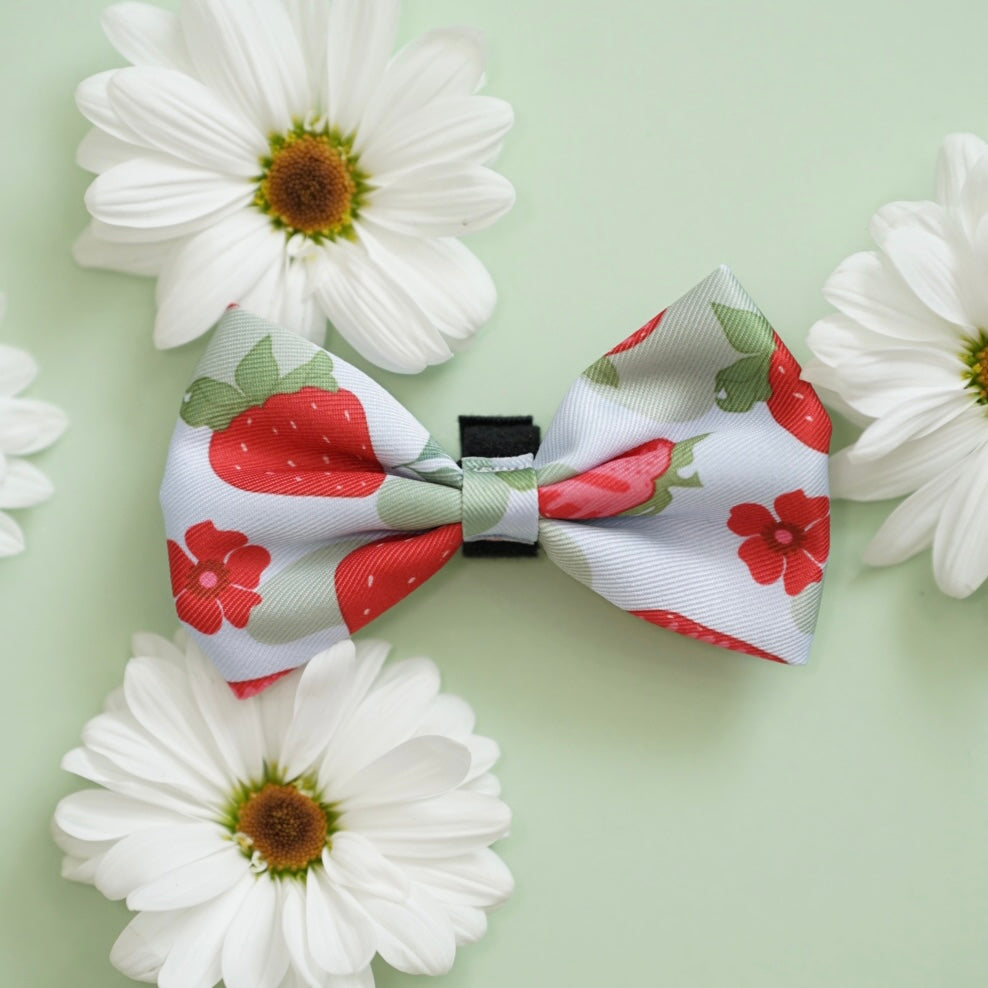 BERRY BABY BOW