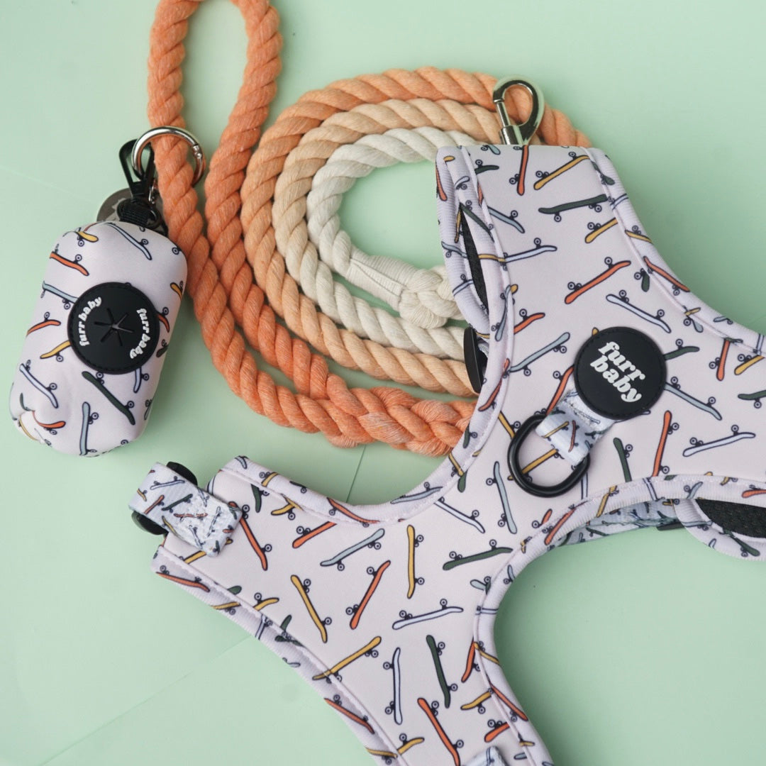 Skate Bark