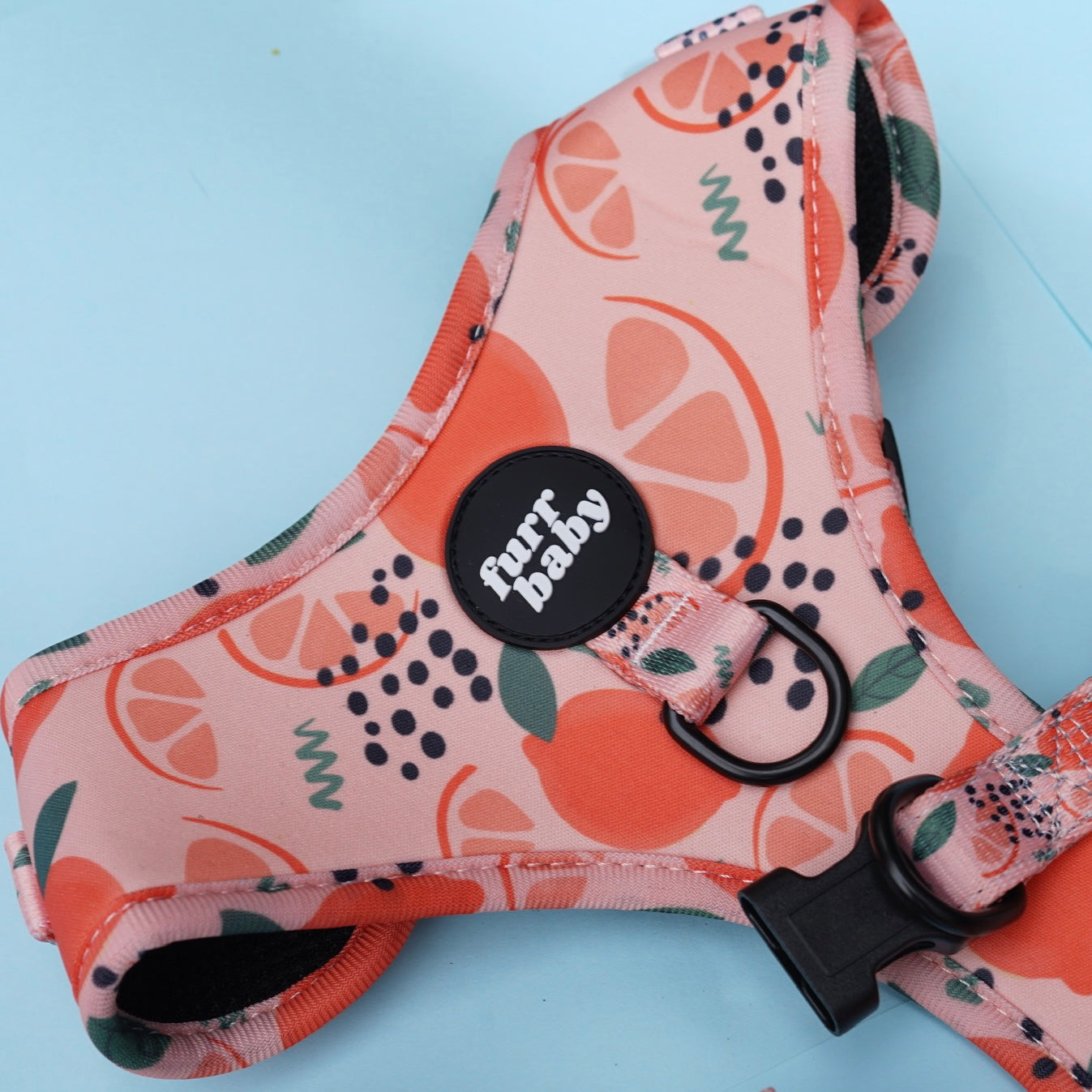 Main Squeeze Harness π