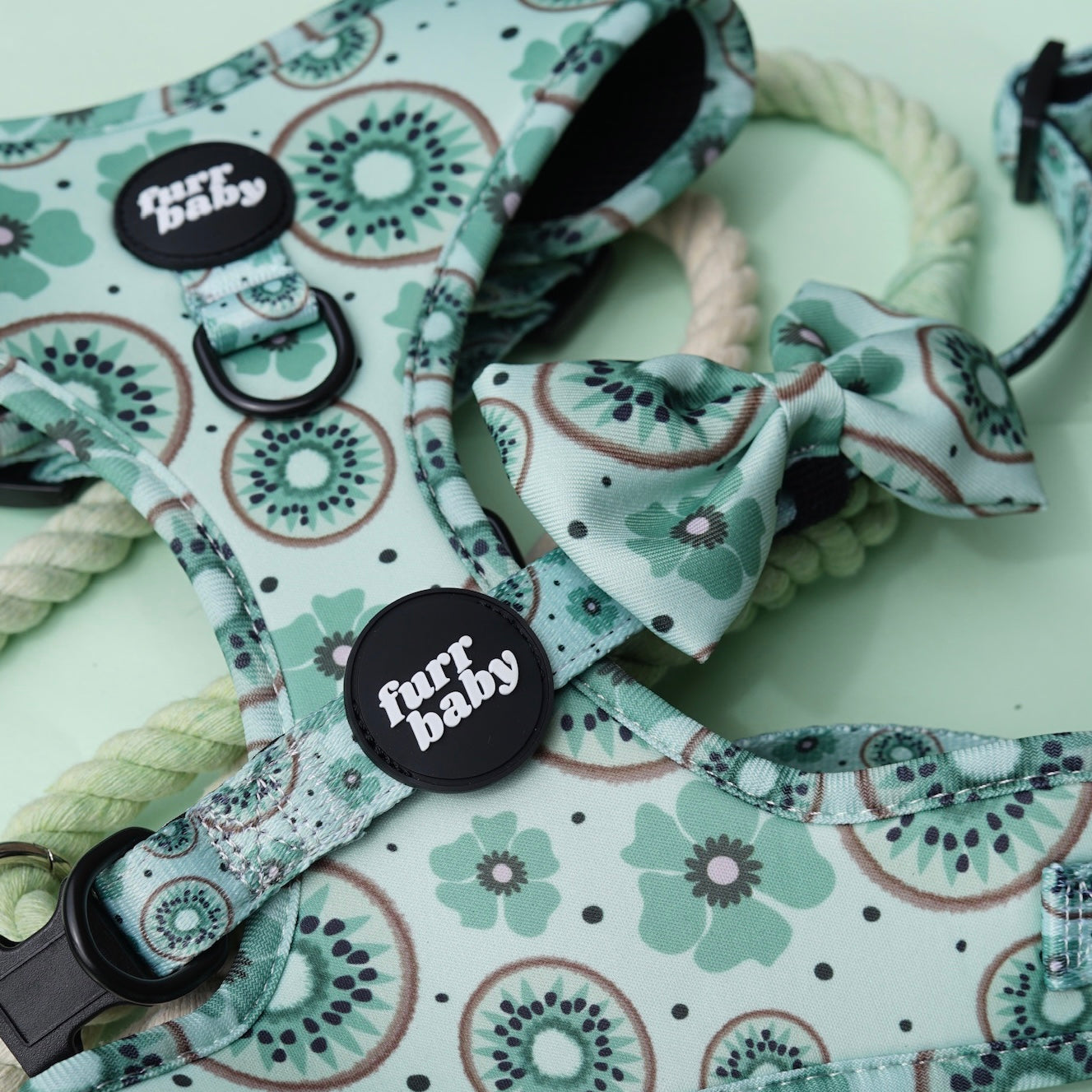 Kiwi Be Friends Harness π₯