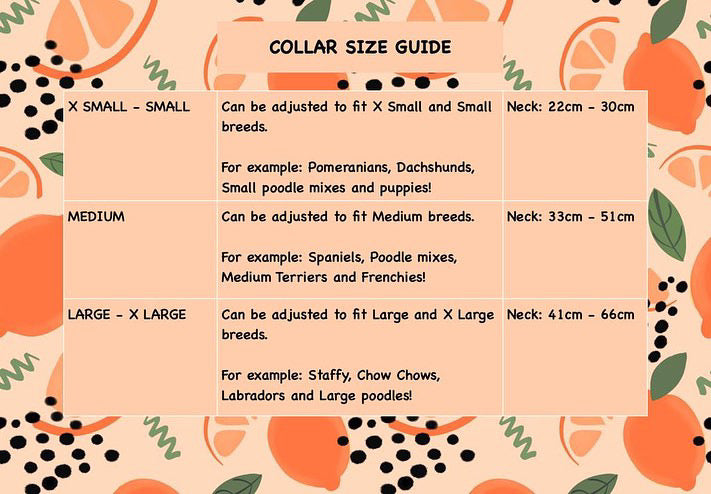 Main Squeeze Collar π