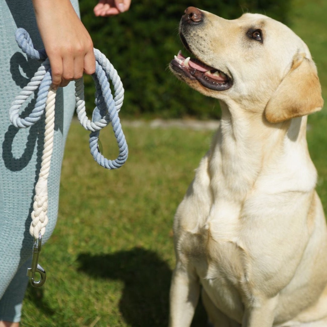 Blue Dusk Rope Lead