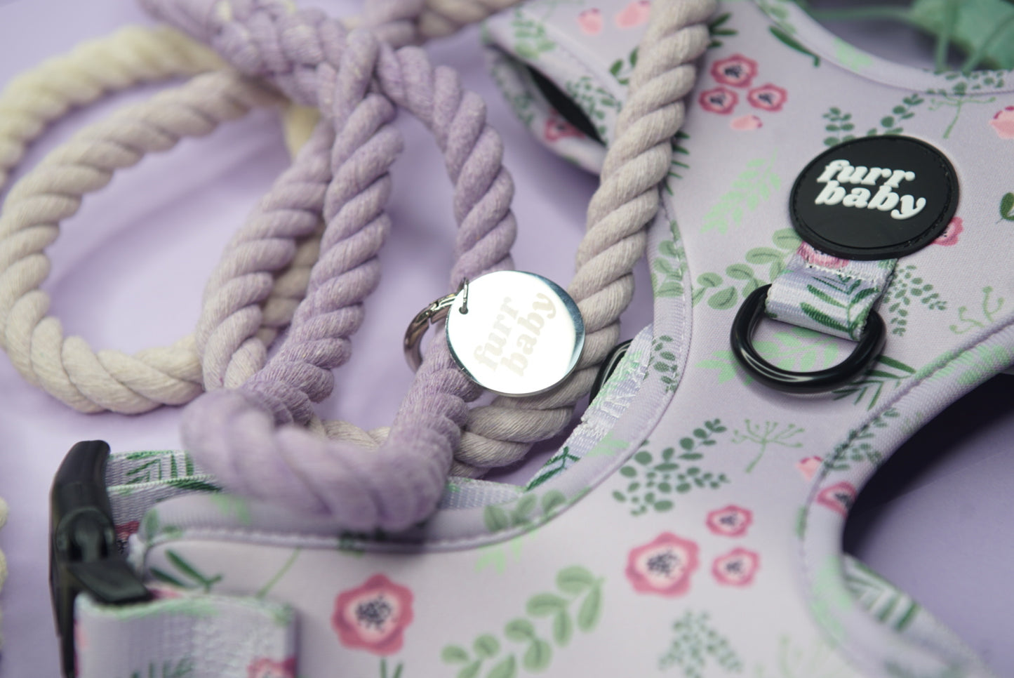 Parma Violet