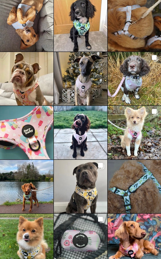 OUR BRAND REPS