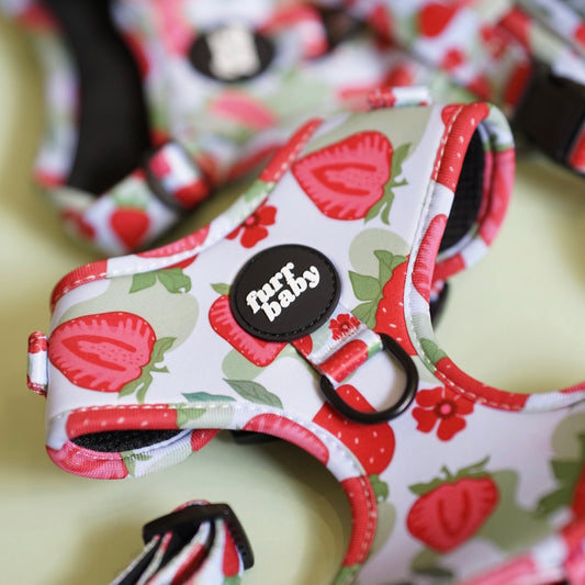 NEW BERRY BABY HARNESS