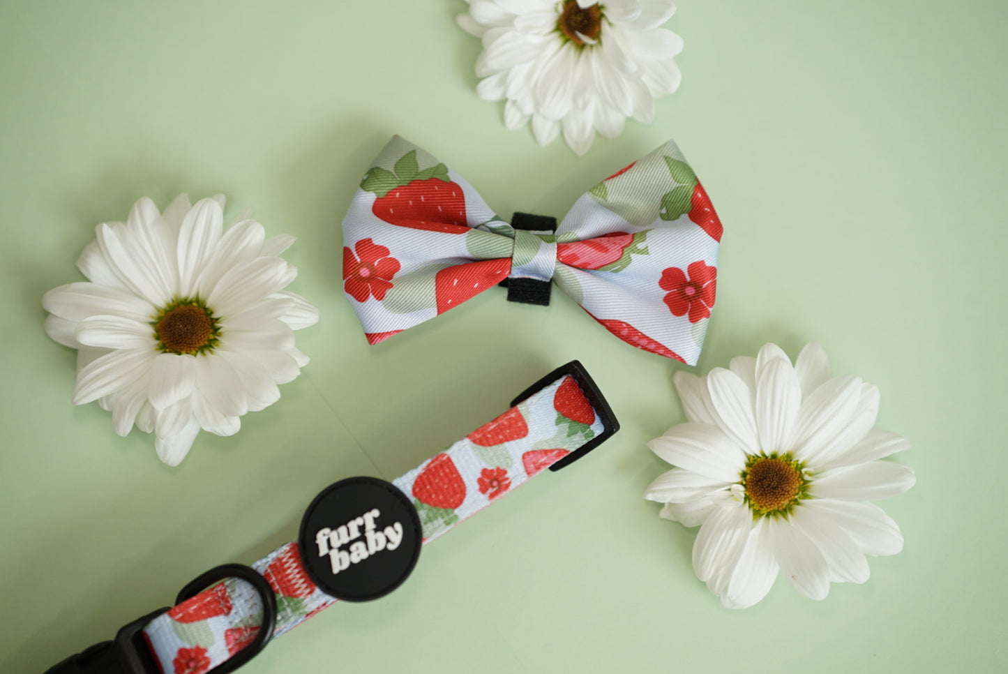 NEW BERRY BABY COLLAR