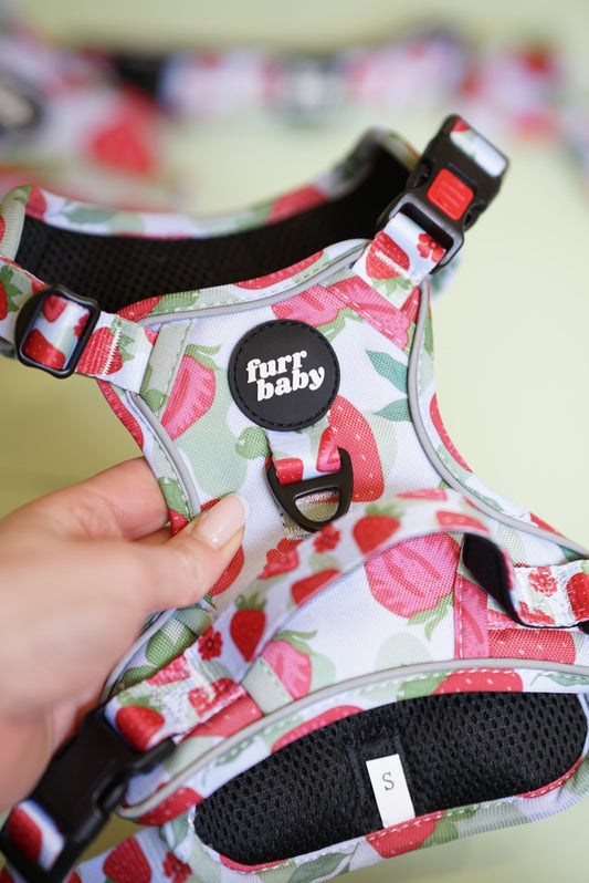 FURRTRAILS BERRY BABY HARNESS