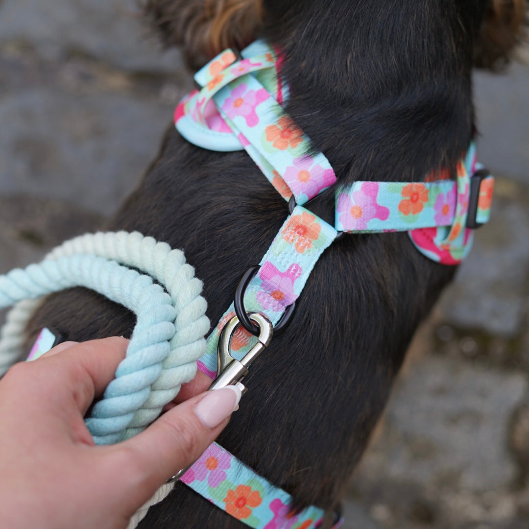 Groovy Baby Harness! 🌸