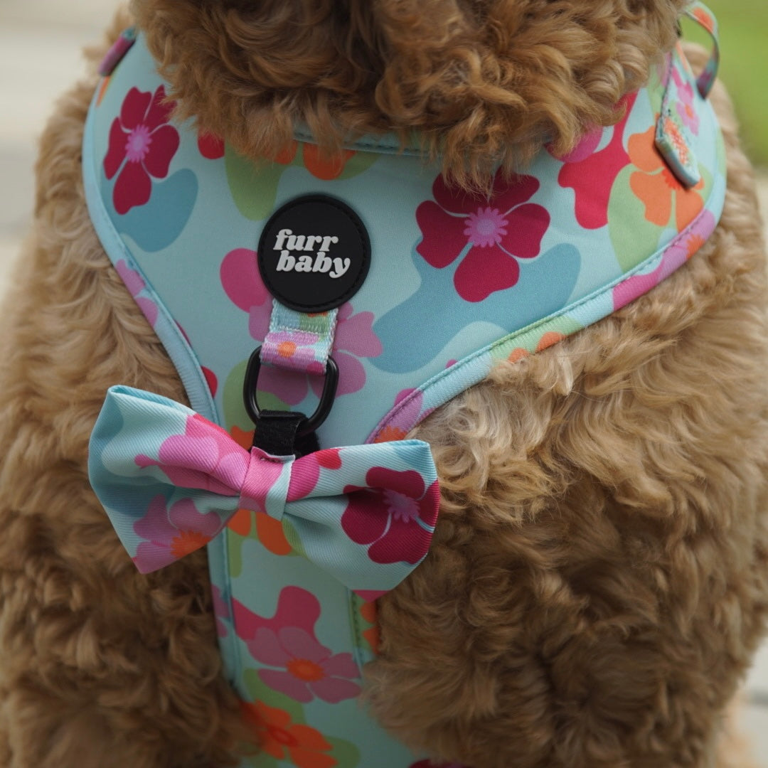 Groovy Baby Harness! 🌸