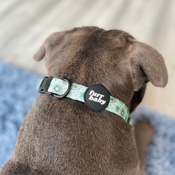 Kiwi Be Friends Collar 🥝