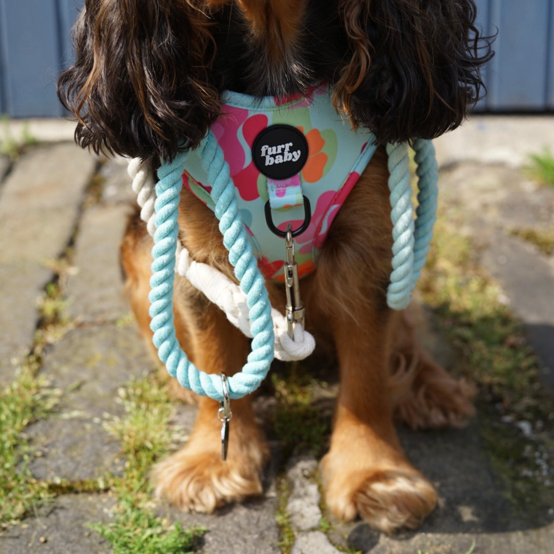 Groovy Baby Harness! 🌸