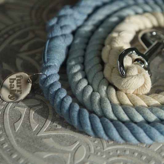 Blue Dusk Rope Lead