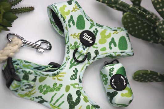 Looking Fly Bundle