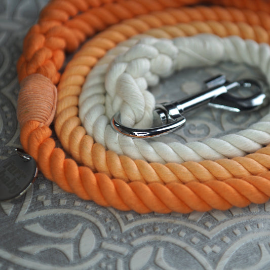 Tango Passion Rope Lead