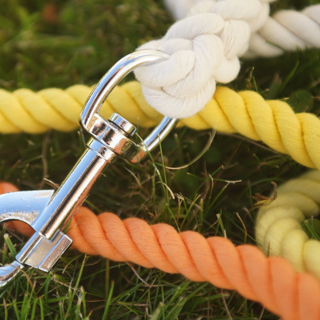 Ray Of Sunshine Rope Lead