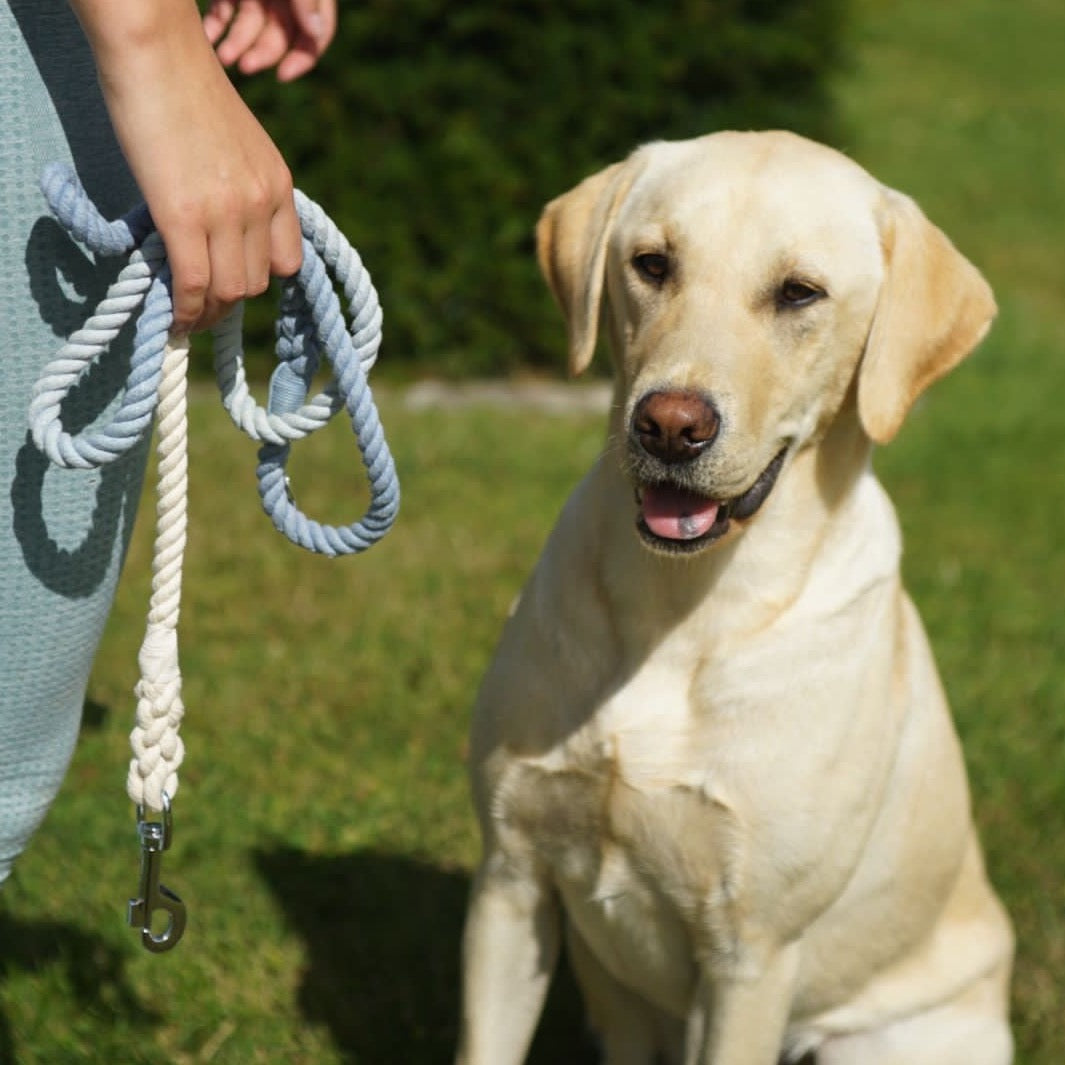 Blue Dusk Rope Lead