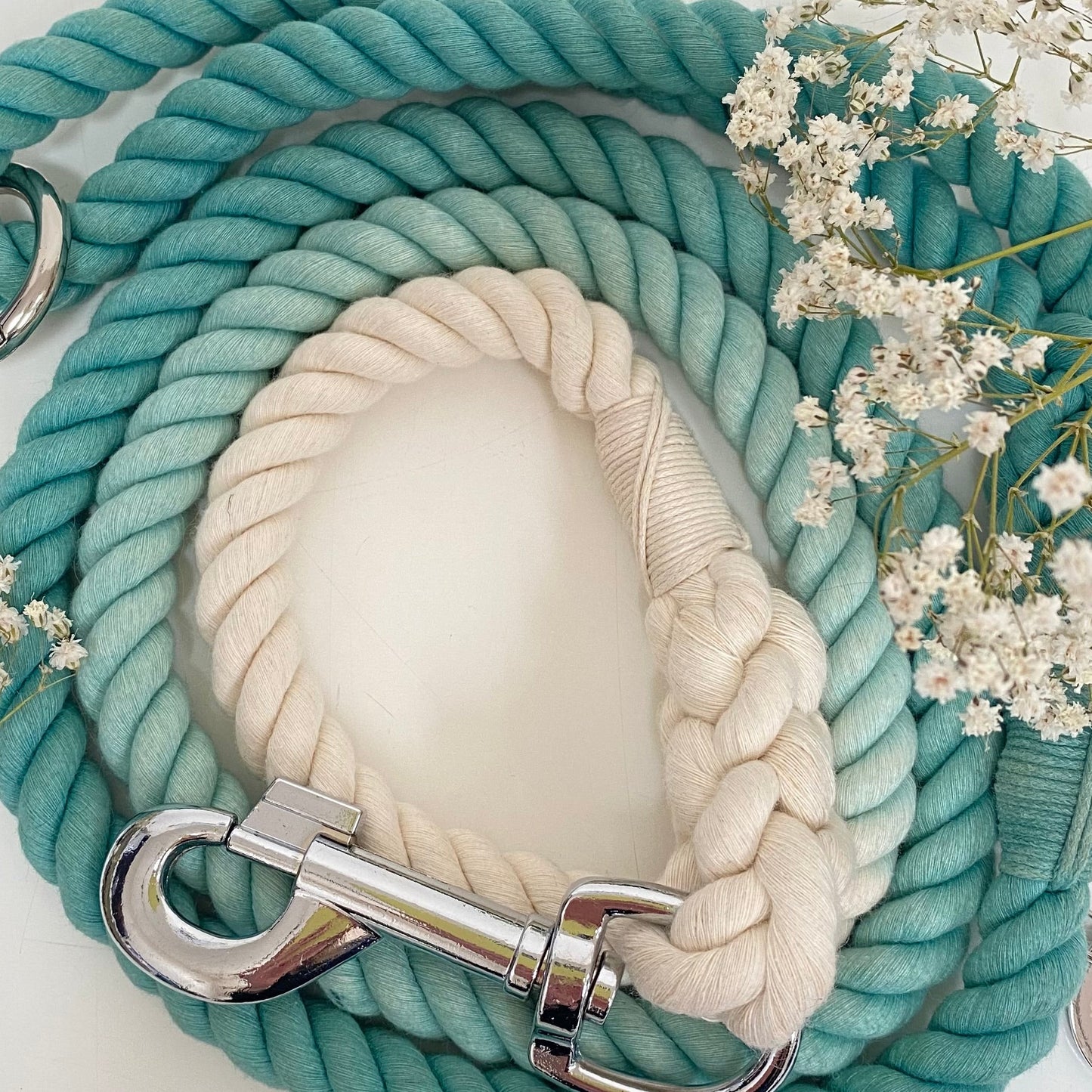 Timeless Teal Rope Lead