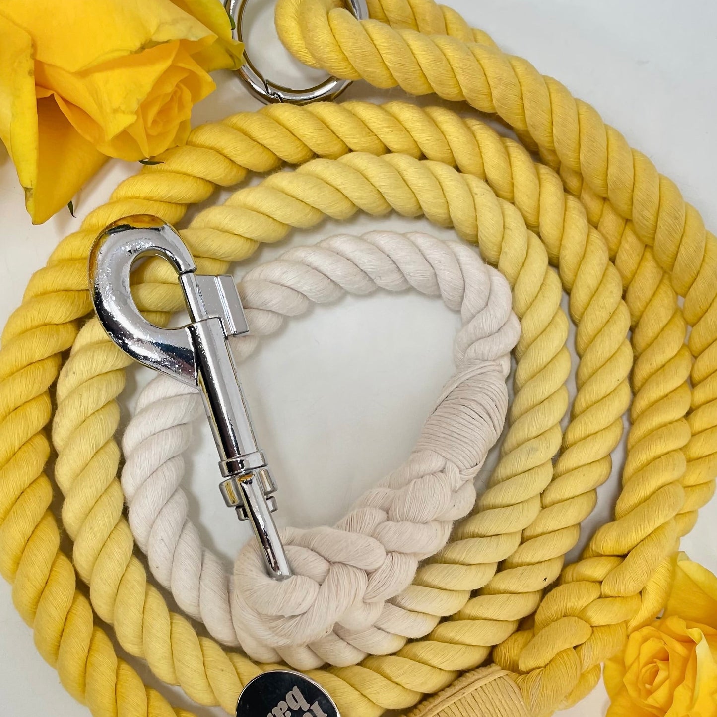 Ray Of Sunshine Rope Lead