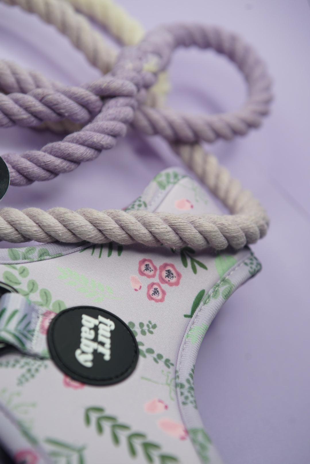 Violet Bundle