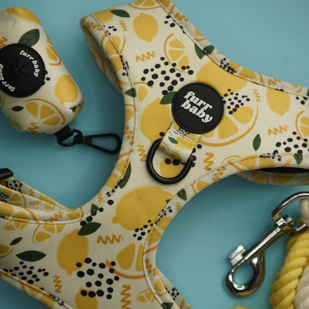 Love me lemon Poo bag holder