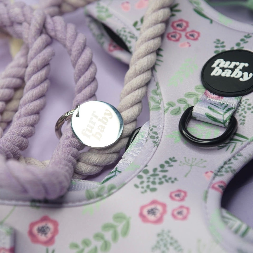 Violet Bundle