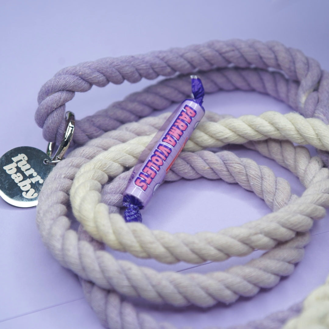 Violet Bundle